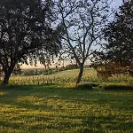 Chateau De Pomiro D'hotes Et 3* Montreal (Gers)