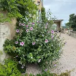 Chateau De Pomiro D'hotes Et 3*