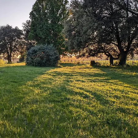 Chateau De Pomiro D'hotes Et Panzió Montréal
